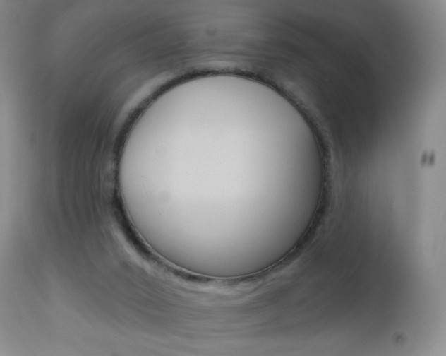 X0000112520016200908171123