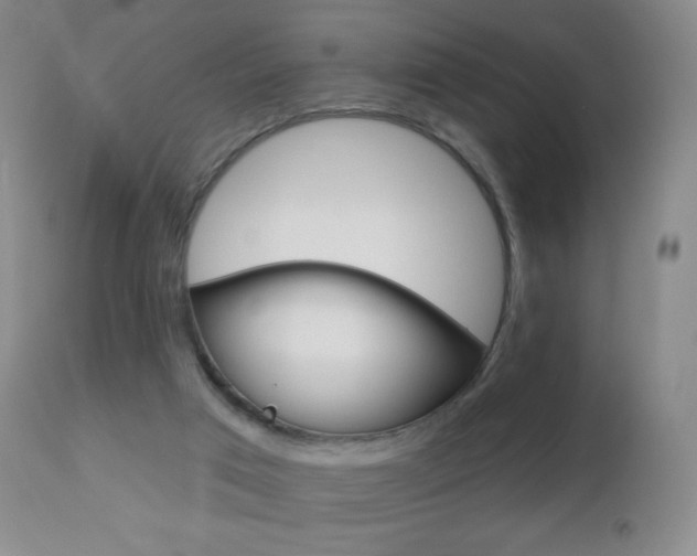 X0000112520017200908171123