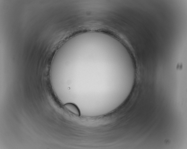X0000112520018200908171123
