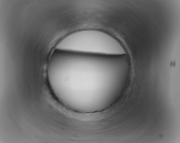 X0000112520019200908171123