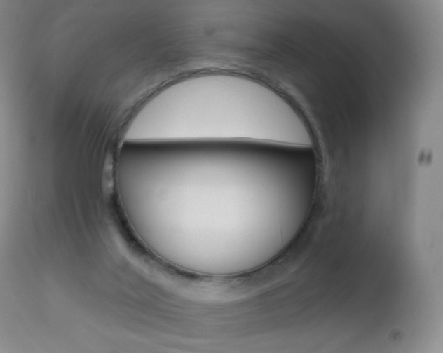 X0000112520020200908171123