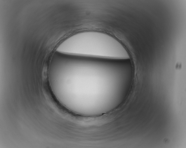 X0000112520021200908171123