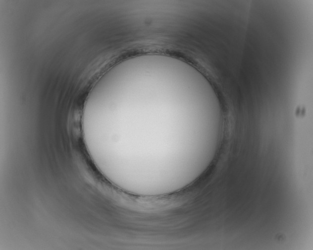 X0000112520022200908171123