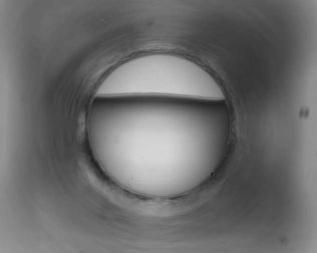 X0000112520024200908171123