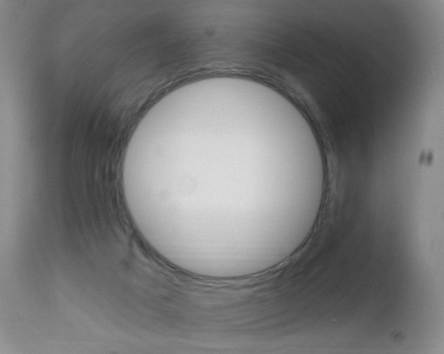 X0000112520025200908171123