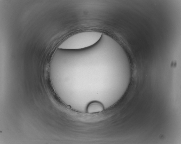 X0000112520026200908171123