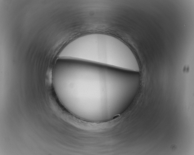 X0000112520027200908171123