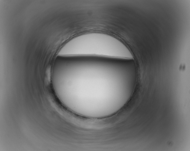 X0000112520028200908171123