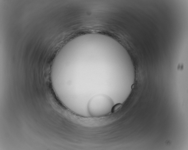 X0000112520030200908171123