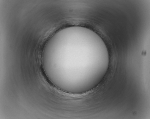 X0000112520031200908171123
