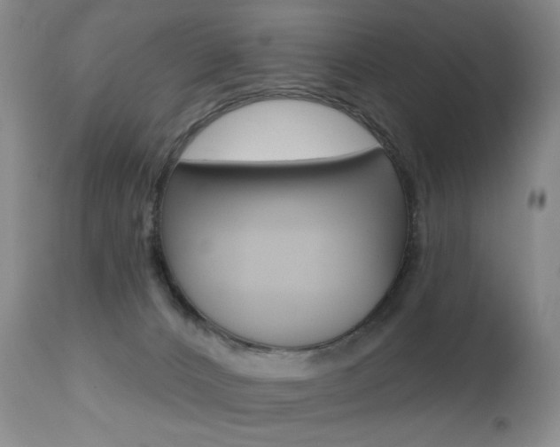 X0000112520032200908171123