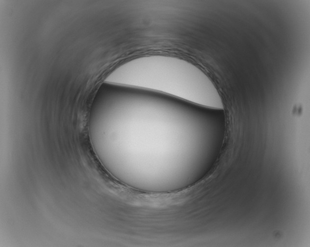 X0000112520033200908171123