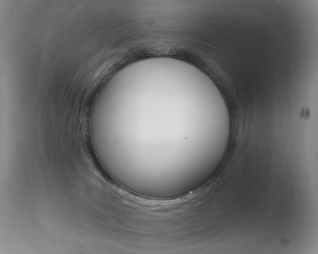 X0000112520035200908171123