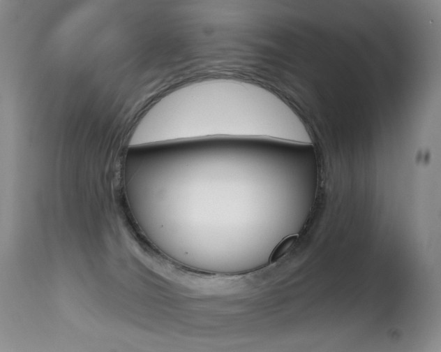 X0000112520036200908171123