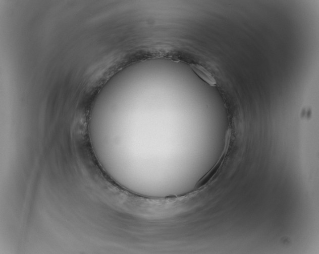 X0000112520037200908171123