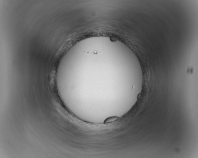 X0000112520038200908171123