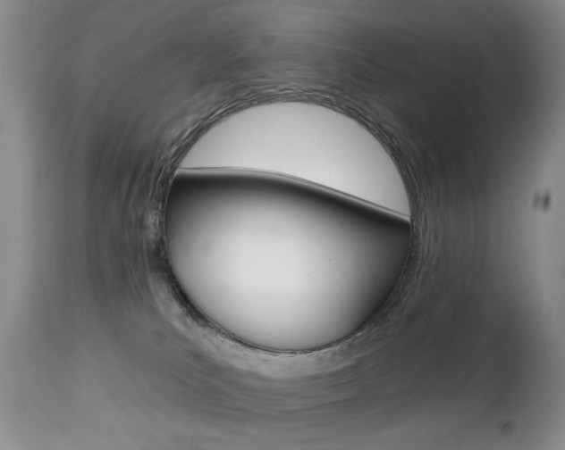 X0000112520039200908171123