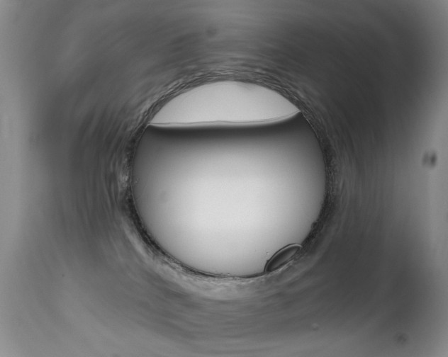 X0000112520040200908171123