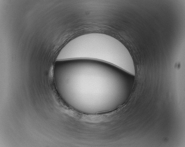 X0000112520041200908171122