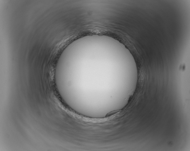 X0000112520043200908171122