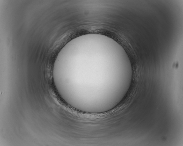 X0000112520044200908171122