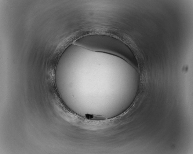 X0000112520045200908171122