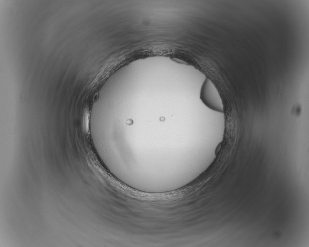 X0000112520046200908171122