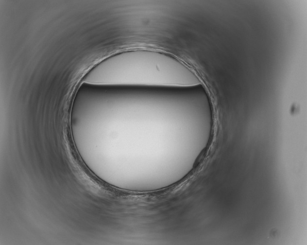 X0000112520049200908171122