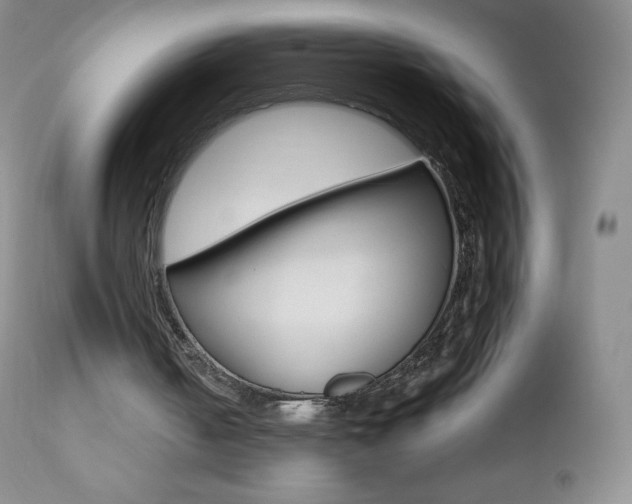 X0000112520050200908171122