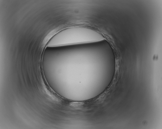 X0000112520051200908171122