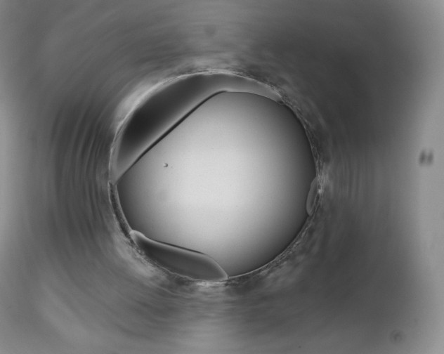 X0000112520052200908171122