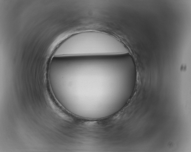 X0000112520054200908171122