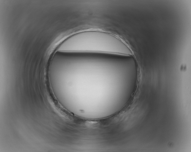 X0000112520055200908171122