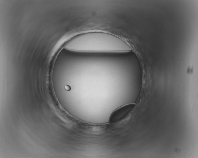 X0000112520056200908171122