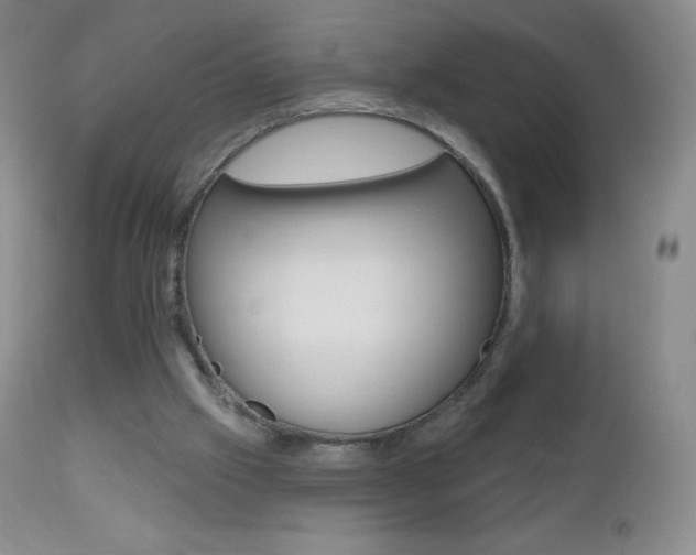 X0000112520057200908171122