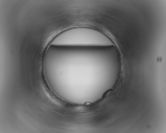 X0000112520059200908171122