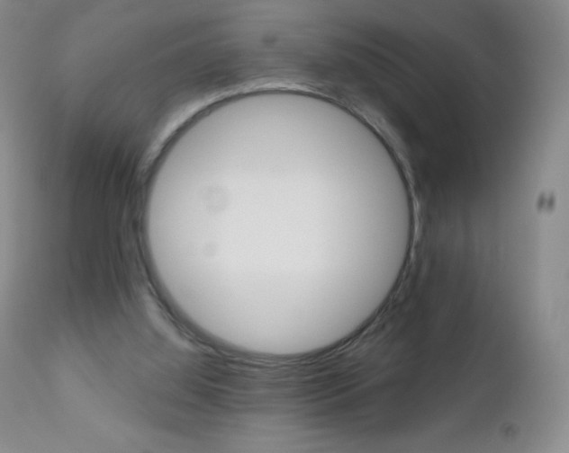 X0000112520060200908171122