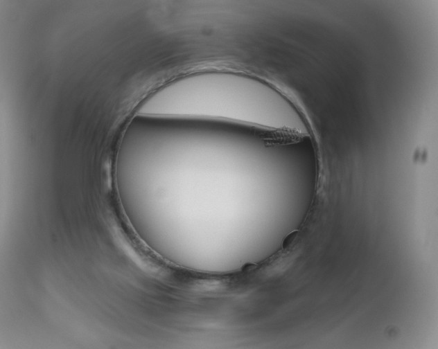 X0000112520061200908171122