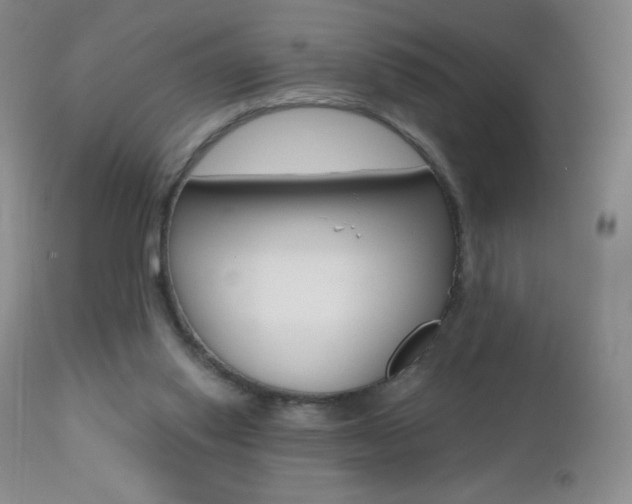 X0000112520062200908171122