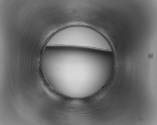 X0000112520063200908171122