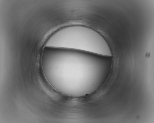 X0000112520064200908171122