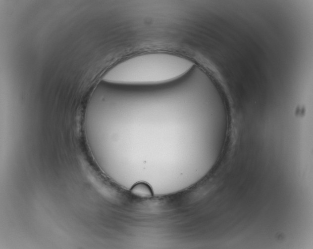 X0000112520065200908171122