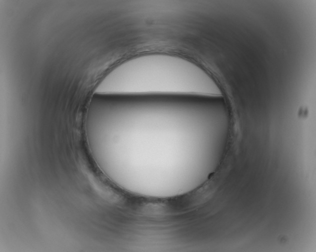 X0000112520066200908171122