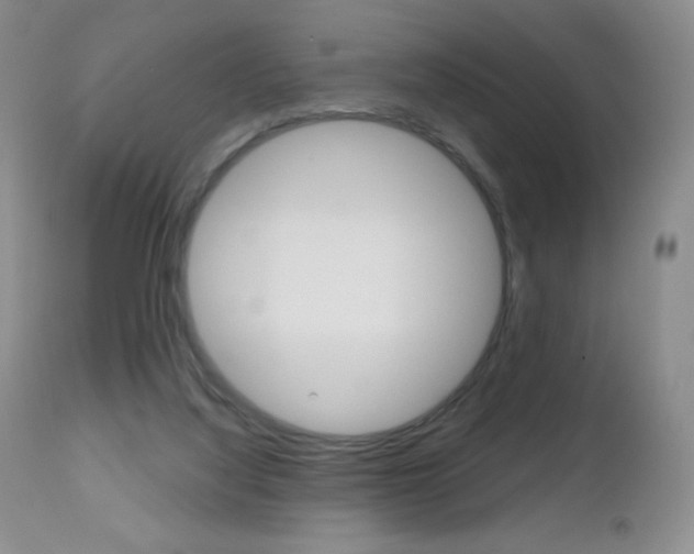 X0000112520068200908171122