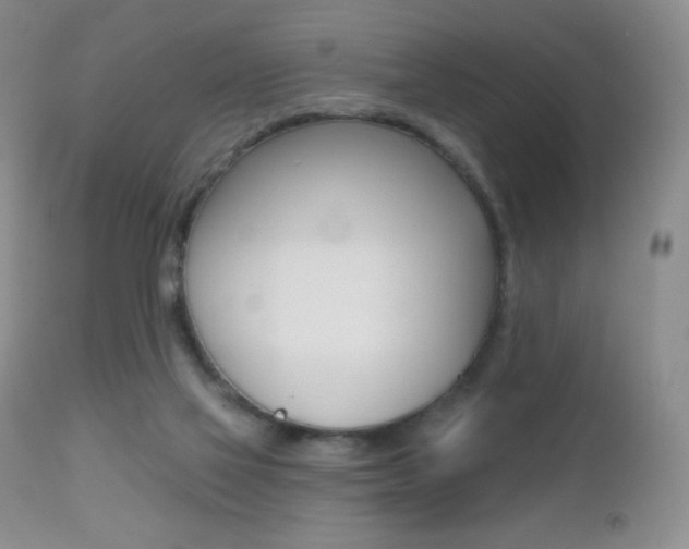 X0000112520069200908171122
