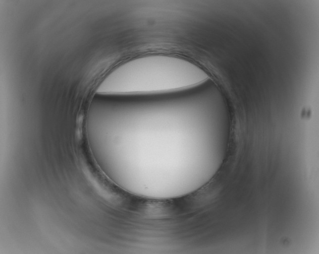 X0000112520070200908171122