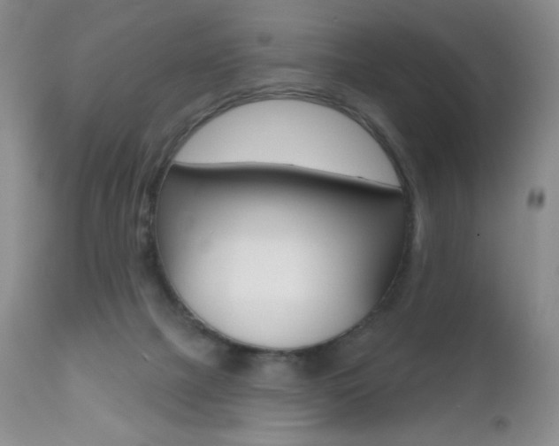 X0000112520073200908171122
