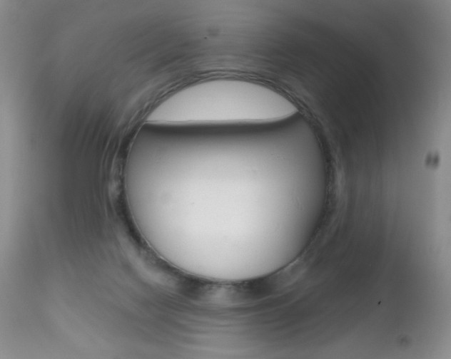 X0000112520074200908171122