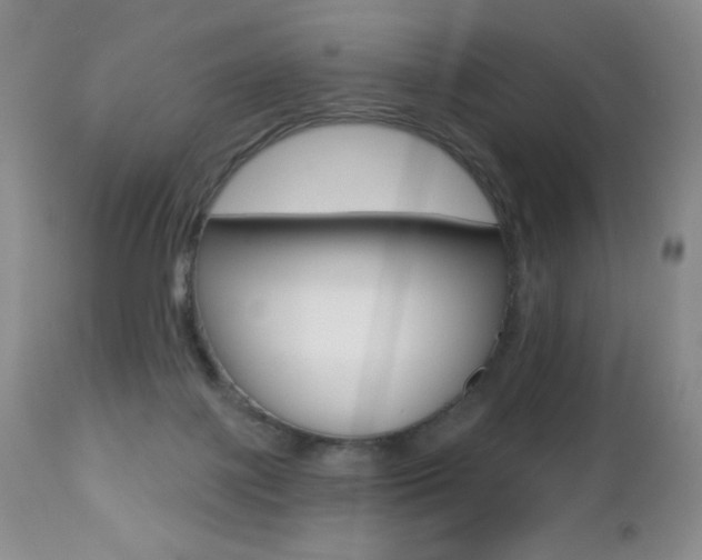 X0000112520075200908171122