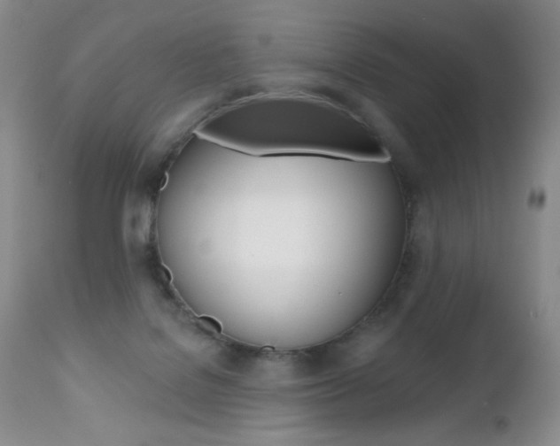 X0000112520076200908171122